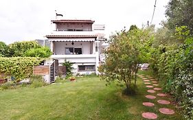 Fat Mermaid Seaside Villa